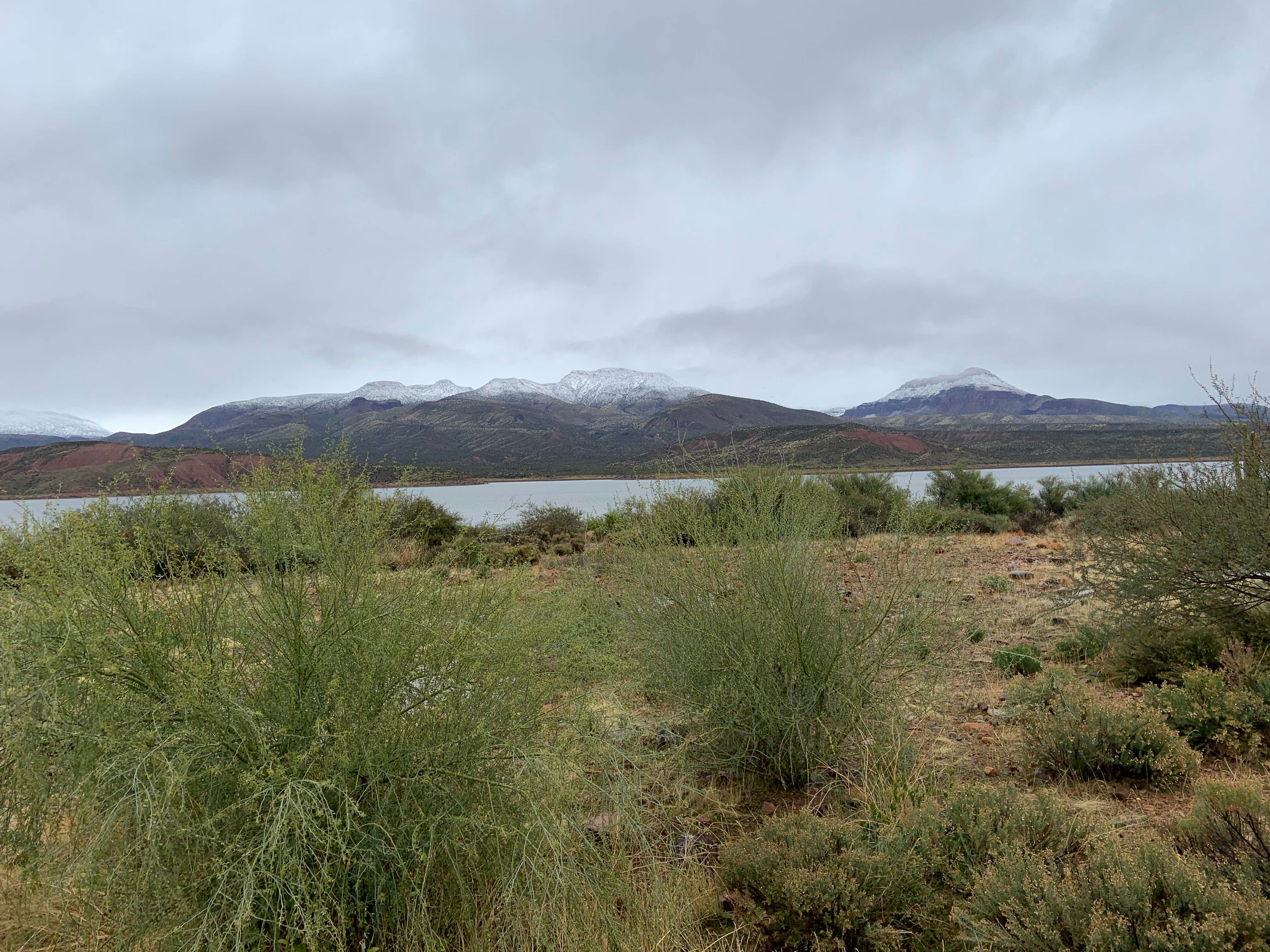 Camping near Burnt Corral Campground: Cholla Bay, Roosevelt, Arizona