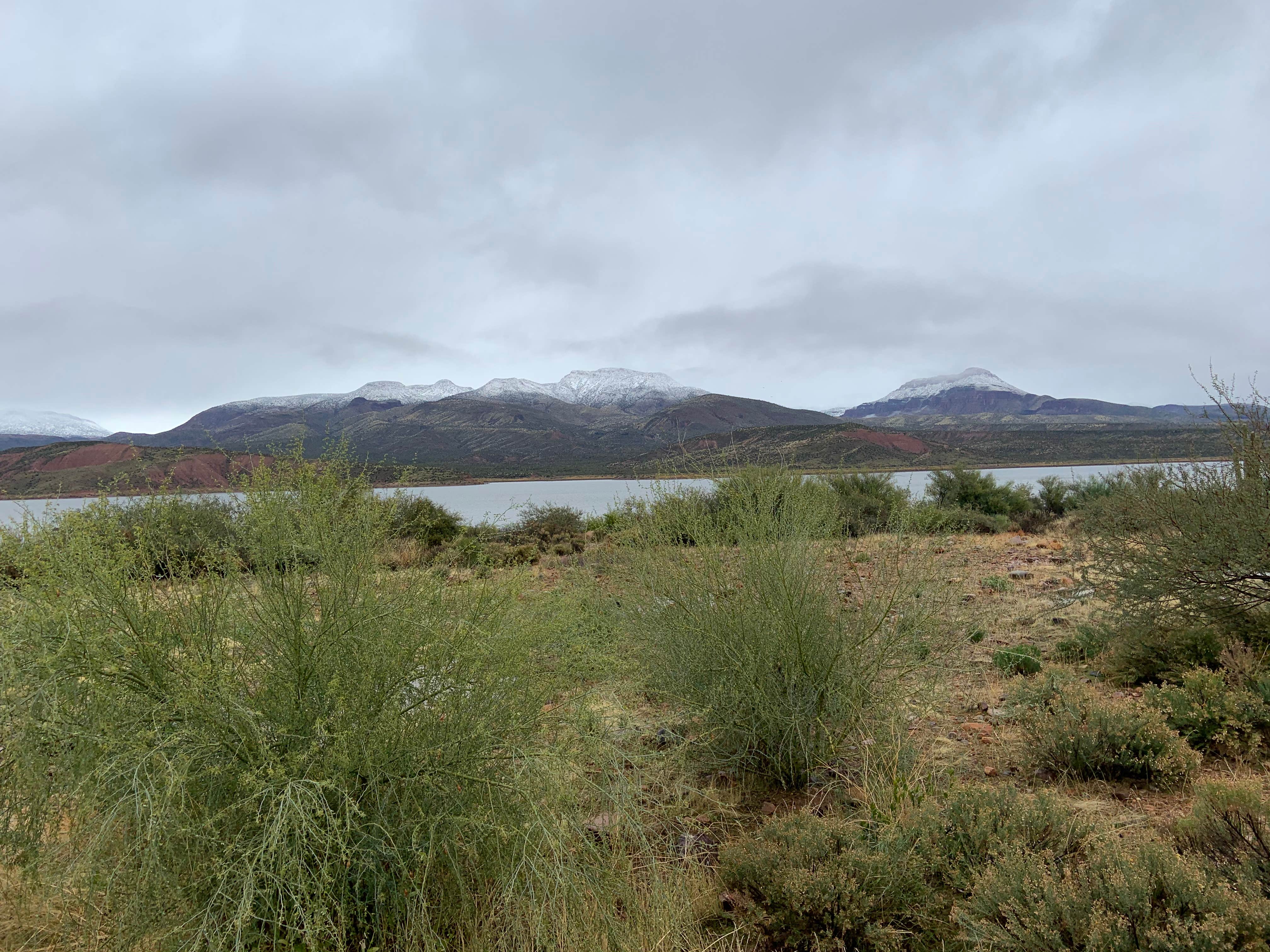 Camper submitted image from Cholla Bay - 1