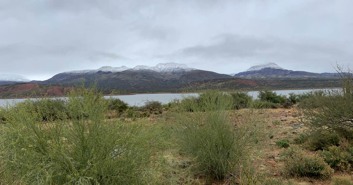 Cholla Bay