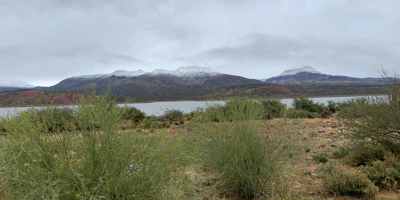 Camper submitted image from Cholla Bay
