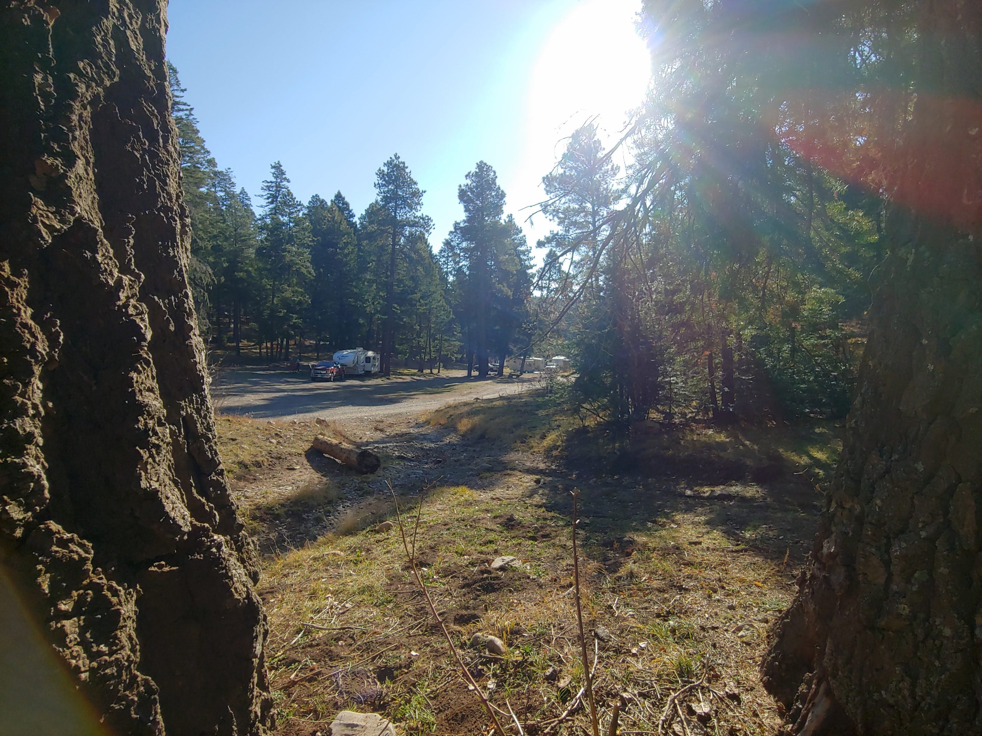 Camper submitted image from Forest Road 568 - Dispersed Camping - 2