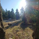 Review photo of Forest Road 568 - Dispersed Camping by Laura M., November 21, 2020