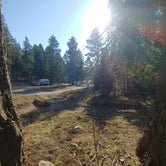Review photo of Forest Road 568 - Dispersed Camping by Laura M., November 21, 2020