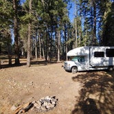 Review photo of Forest Road 568 - Dispersed Camping by Laura M., November 21, 2020