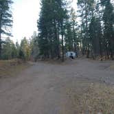 Review photo of Forest Road 568 - Dispersed Camping by Laura M., November 21, 2020