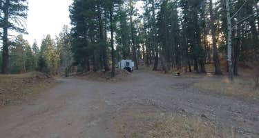 Forest Road 568 - Dispersed Camping
