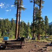 Review photo of San Juan National Forest Williams Creek Campground by Tony E., November 22, 2020
