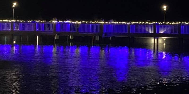 Camper submitted image from Red Bay Acres RV Resort