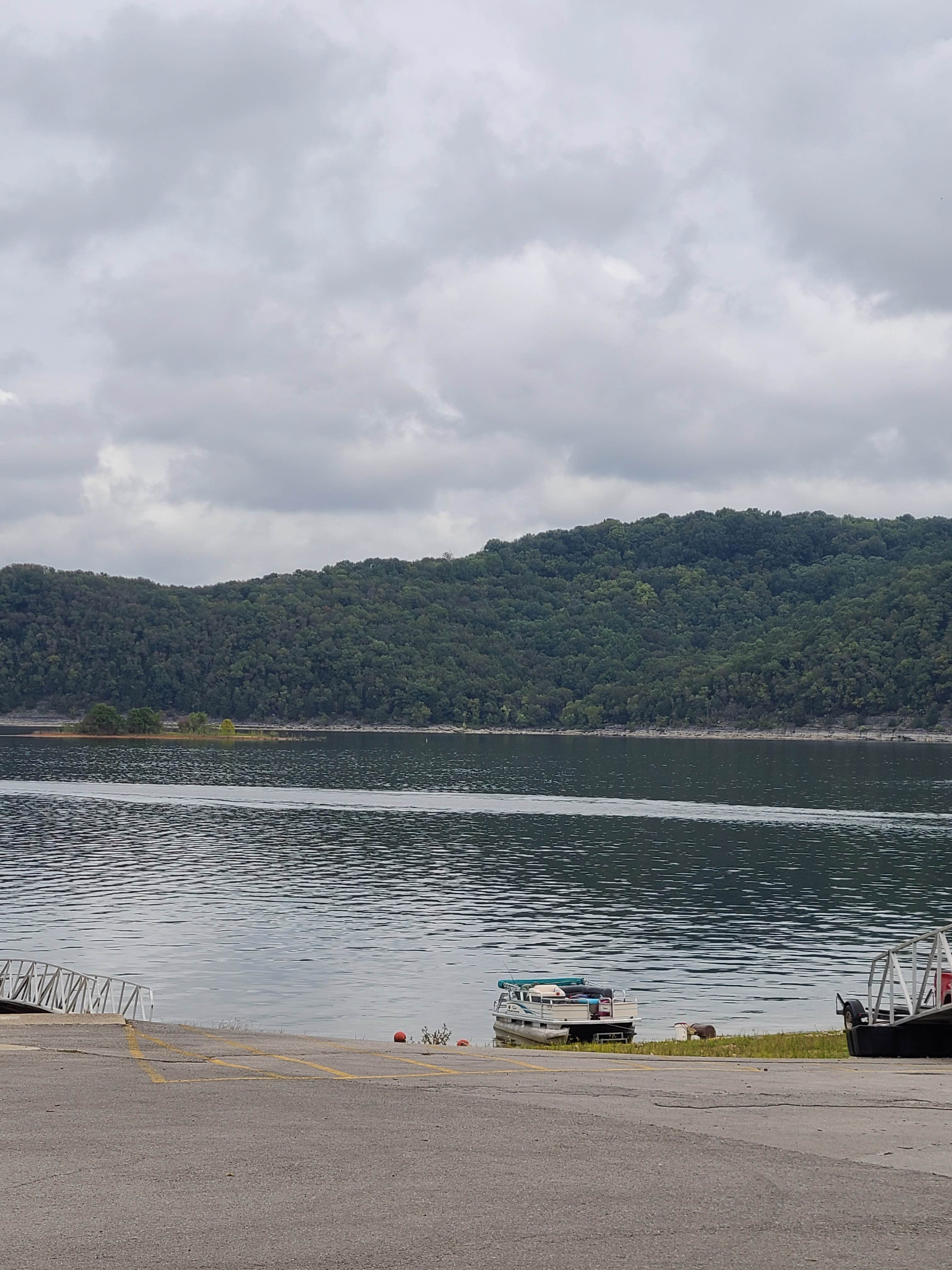 View All
