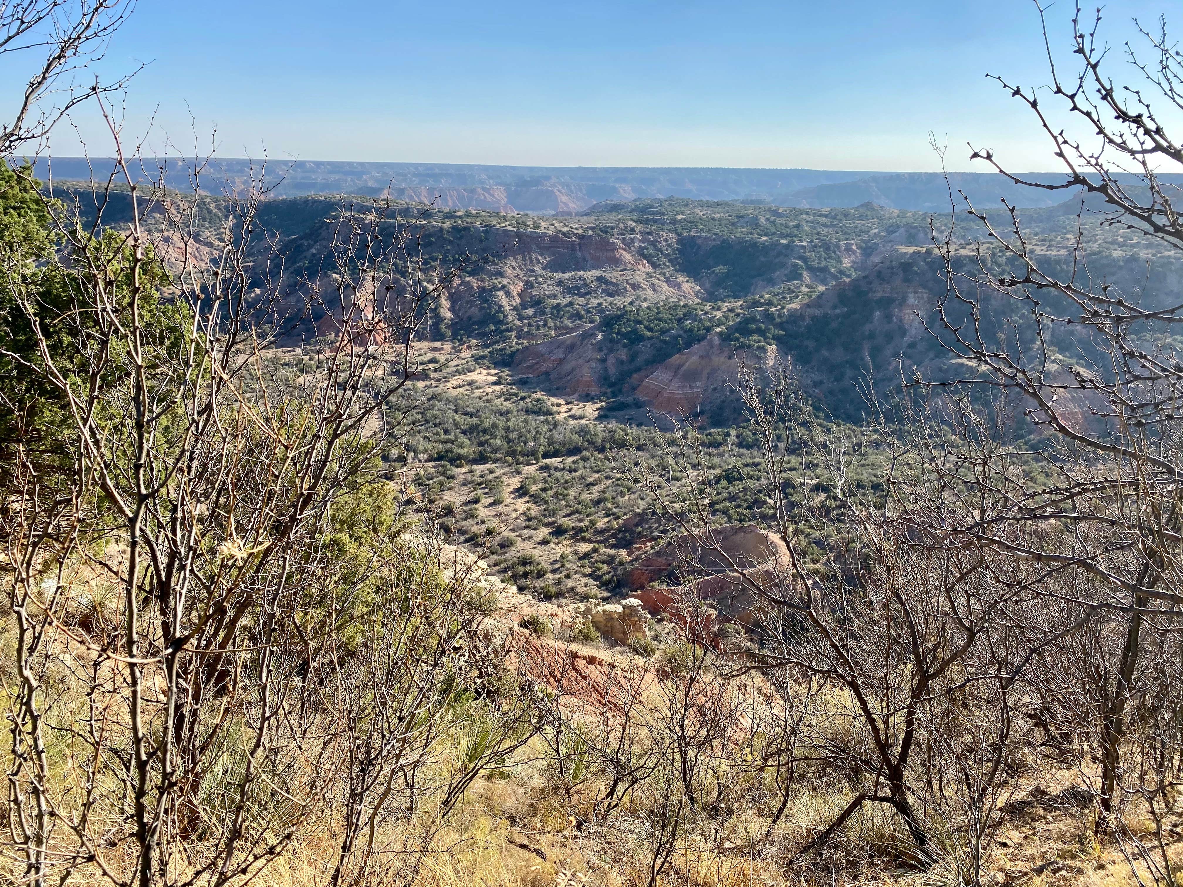 Camping near Panhandle Lodging RV Park: Juniper Campground — Palo Duro Canyon State Park, Canyon, Texas