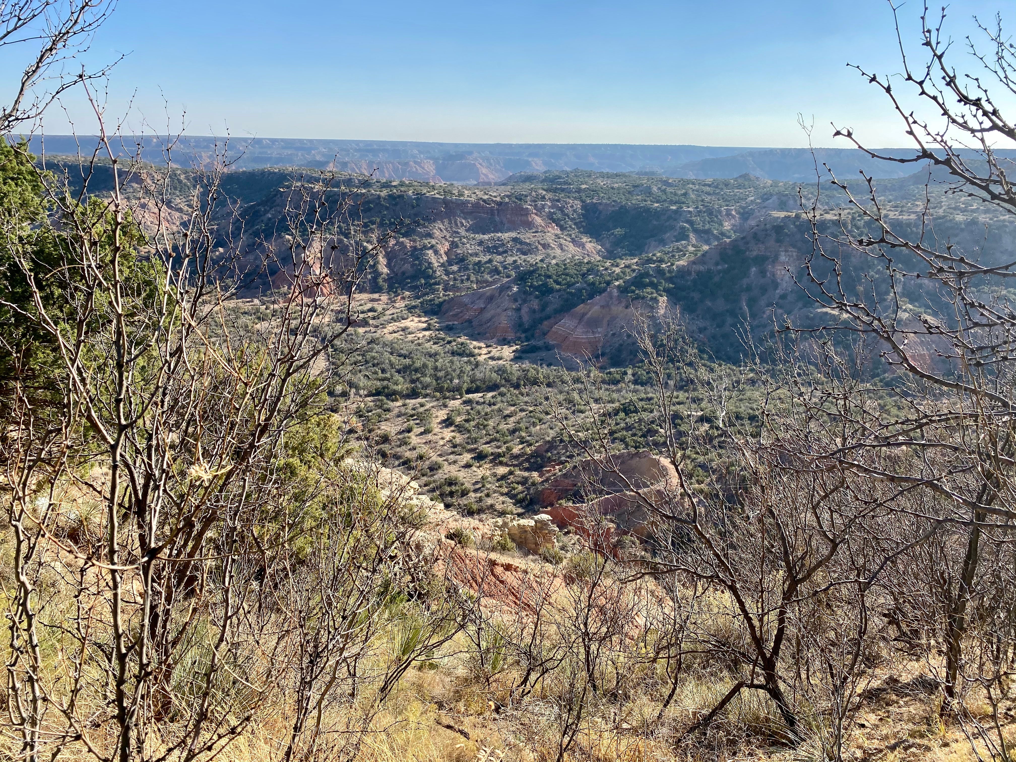 Camper submitted image from Juniper Campground — Palo Duro Canyon State Park - 1