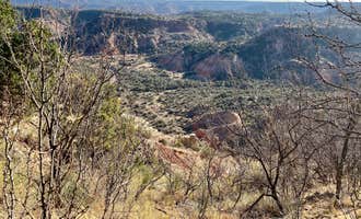 Camping near Wolfberry Group Camp - Palo Duro Canyon State Park: Juniper Campground — Palo Duro Canyon State Park, Canyon, Texas