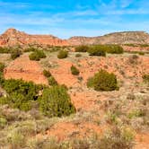 Review photo of Juniper Campground — Palo Duro Canyon State Park by Michael C., November 22, 2020