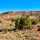 Review photo of Juniper Campground — Palo Duro Canyon State Park by Michael C., November 22, 2020