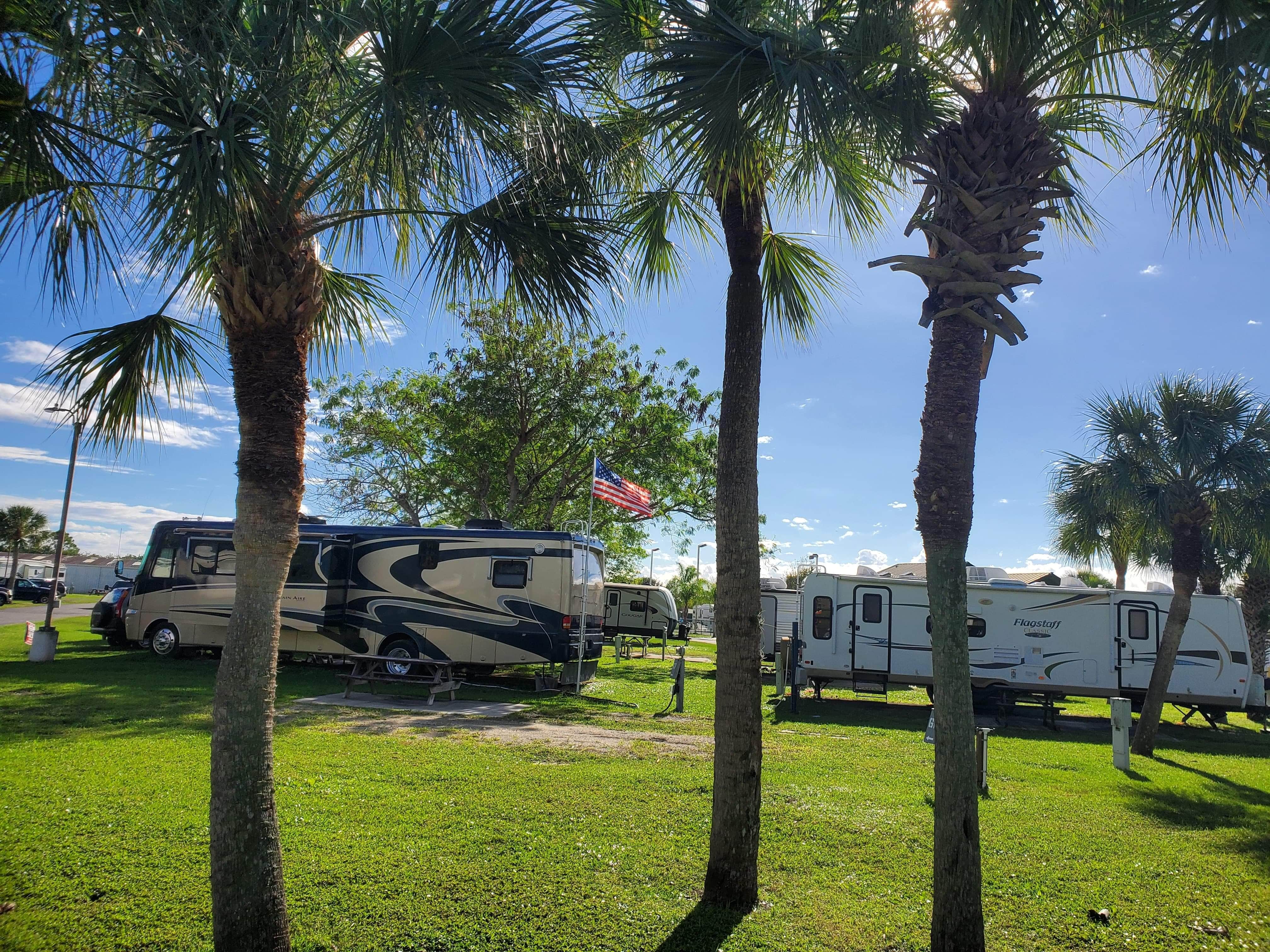Camper submitted image from Sonrise Palms RV - 3