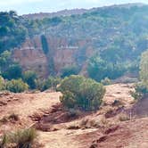 Review photo of Juniper Campground — Palo Duro Canyon State Park by Michael C., November 22, 2020