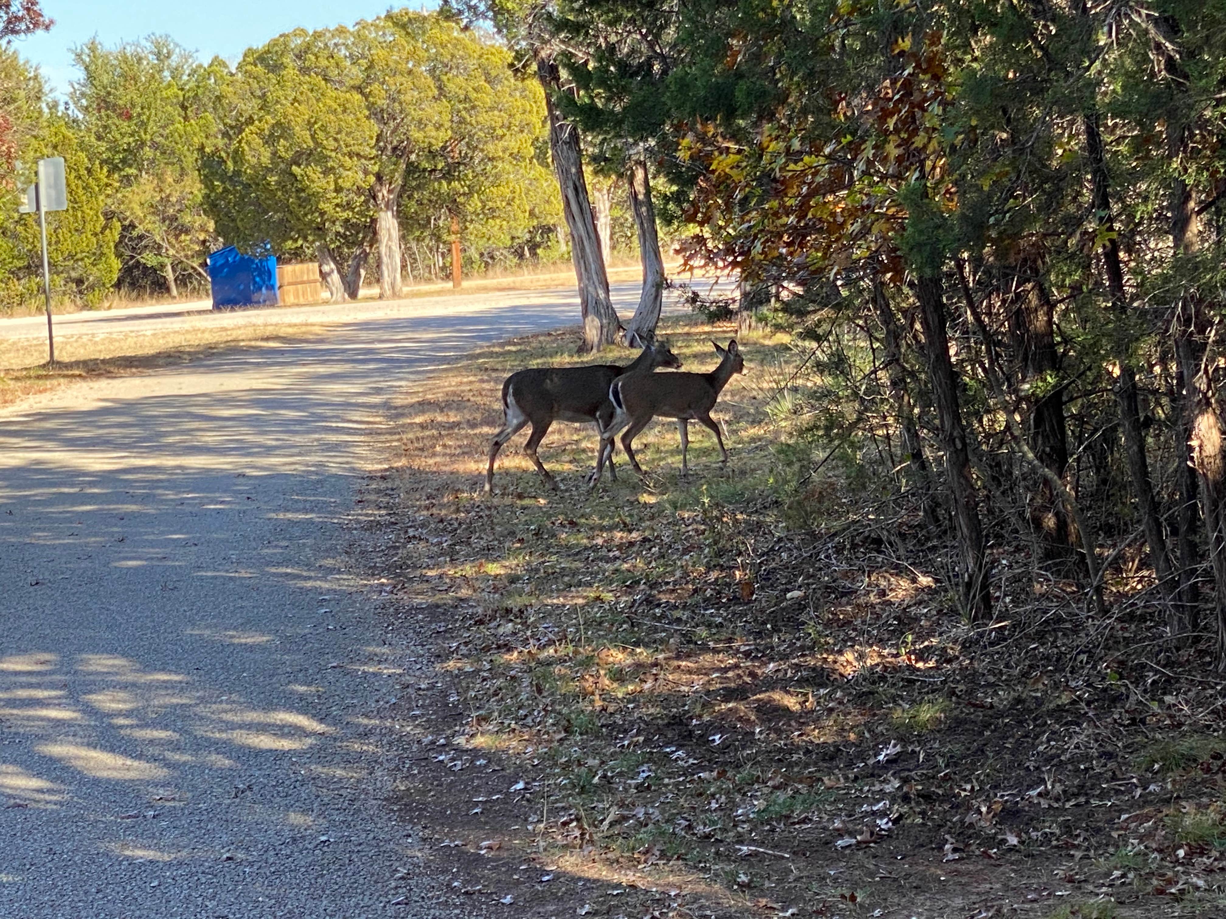 Camper-submitted photo at Abilene State Park Campground near Hords Creek Lake