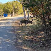 Review photo of Abilene State Park Campground by Michael C., November 18, 2020