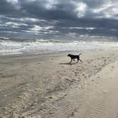 Review photo of Oregon Inlet Campground — Cape Hatteras National Seashore by Juan G., November 22, 2020