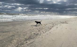 Juan G.'s photo of camping with pets at Oregon Inlet Campground — Cape Hatteras National Seashore near Cape Hatteras National Seashore