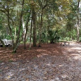 Review photo of Manatee Springs State Park Campground by Brandie B., November 22, 2020
