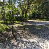 Review photo of Manatee Springs State Park Campground by Brandie B., November 22, 2020