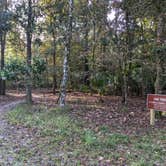 Review photo of Manatee Springs State Park Campground by Brandie B., November 22, 2020