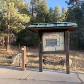 Review photo of Pines Group Campground by Laura M., November 22, 2020