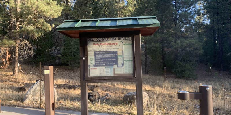 Camper submitted image from Pines Group Campground