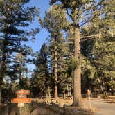 Review photo of Pines Group Campground by Laura M., November 22, 2020