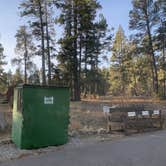 Review photo of Pines Group Campground by Laura M., November 22, 2020