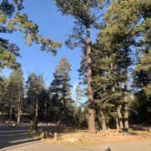 Review photo of Pines Group Campground by Laura M., November 22, 2020