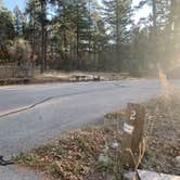 Review photo of Pines Group Campground by Laura M., November 22, 2020