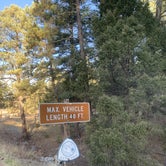 Review photo of Pines Group Campground by Laura M., November 22, 2020