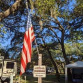 Review photo of Salt Springs Recreation Area by Brandie B., November 22, 2020