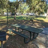 Review photo of Salt Springs Recreation Area by Brandie B., November 22, 2020