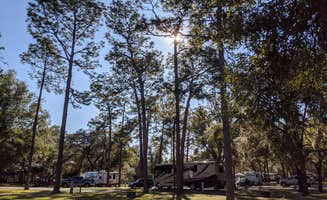 Brandie B.'s photo of a cabin at Salt Springs Recreation Area near Ormond Beach, FL