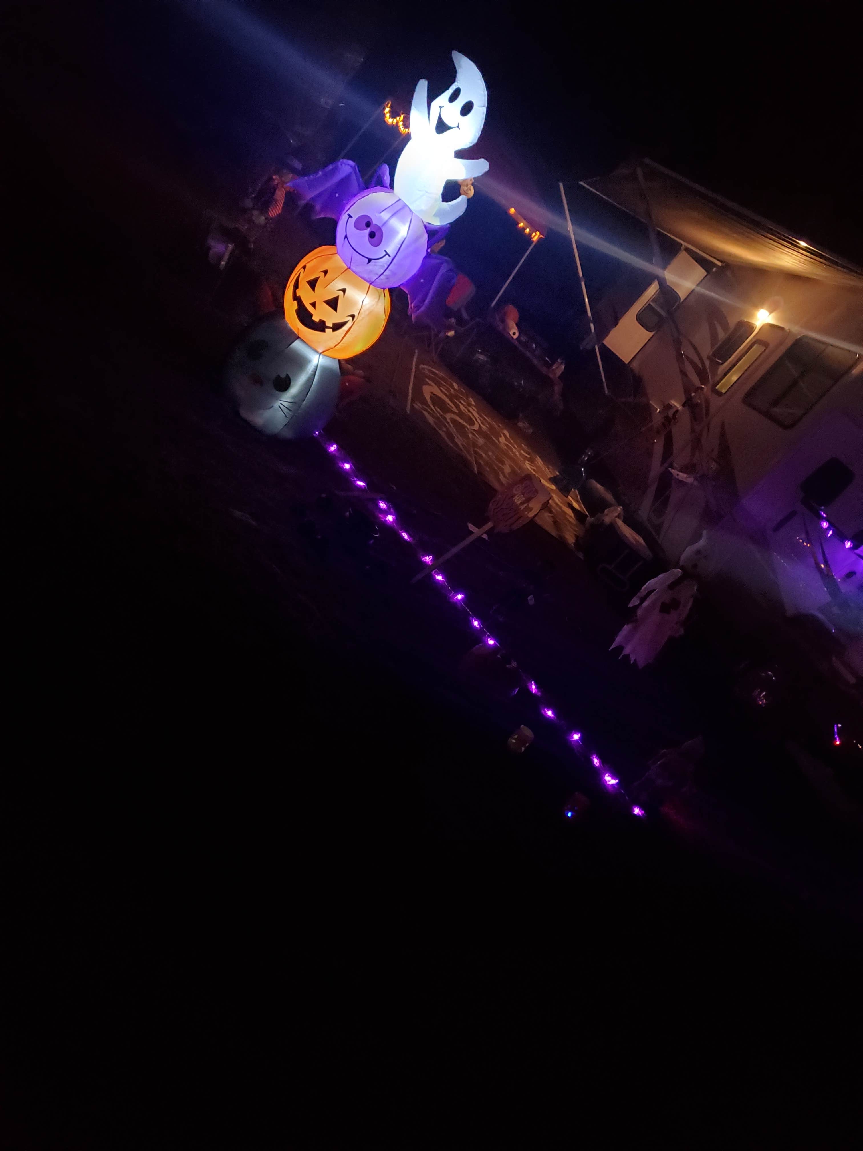 Camper-submitted photo at Holly Acres RV Park near Elwood, NJ