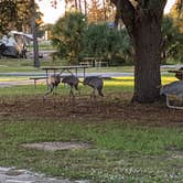 Review photo of Thousand Trails Orlando by Brandie B., November 22, 2020