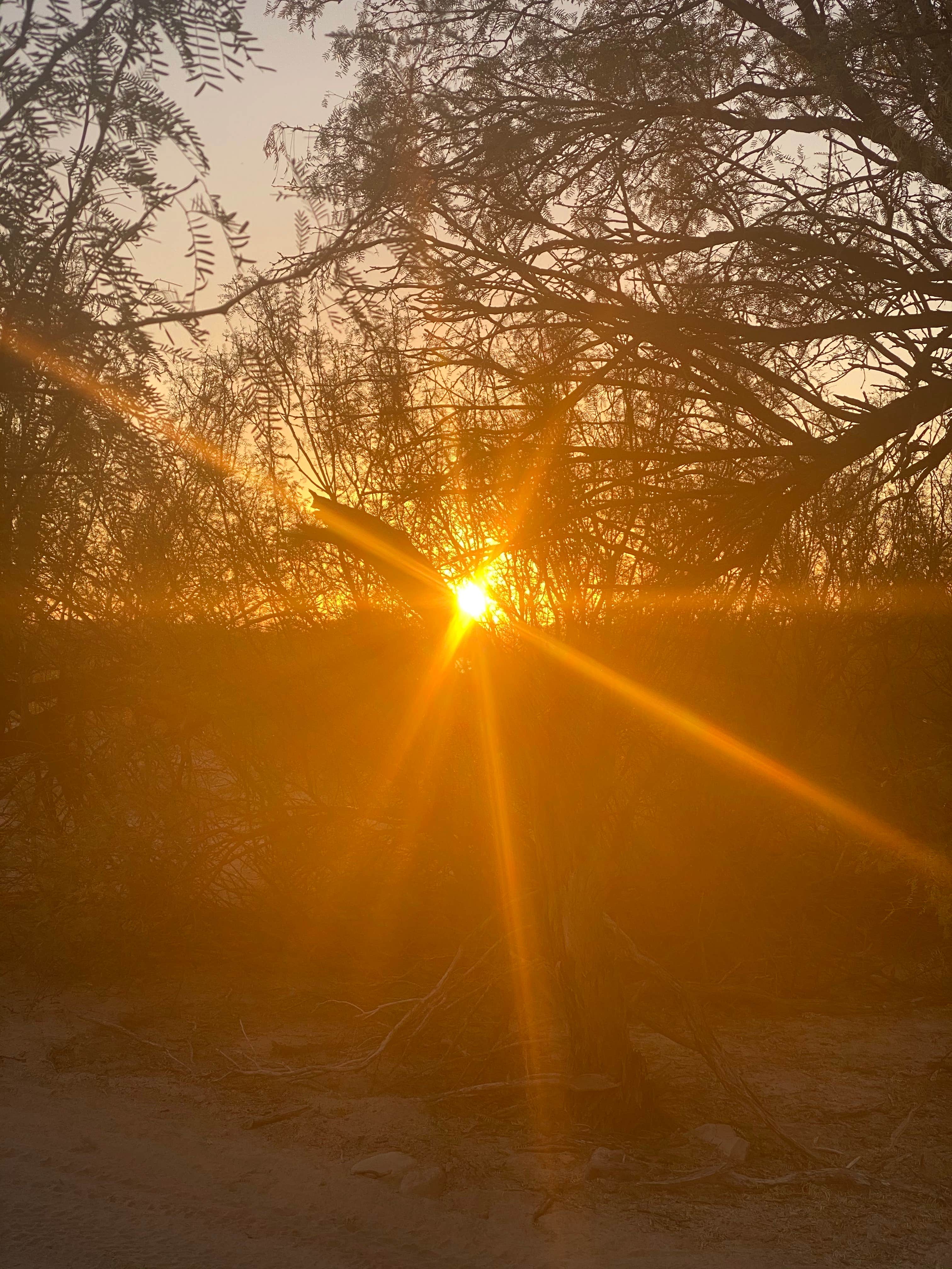 Camper-submitted photo at Black Dike — Big Bend National Park near Big Bend National Park