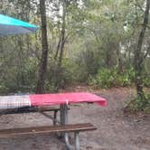Review photo of Blue Spring State Park Campground by L O., November 22, 2020