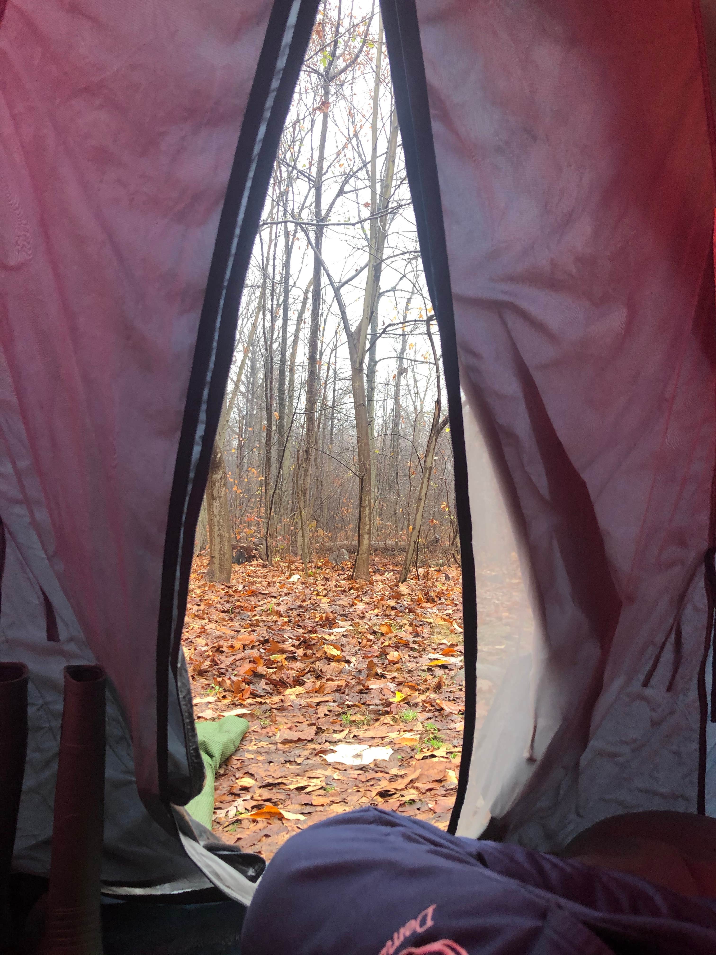 Anthony's photo at French Creek State Park Campground near Norristown, PA