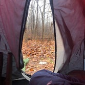 Review photo of French Creek State Park Campground by Anthony , November 22, 2020