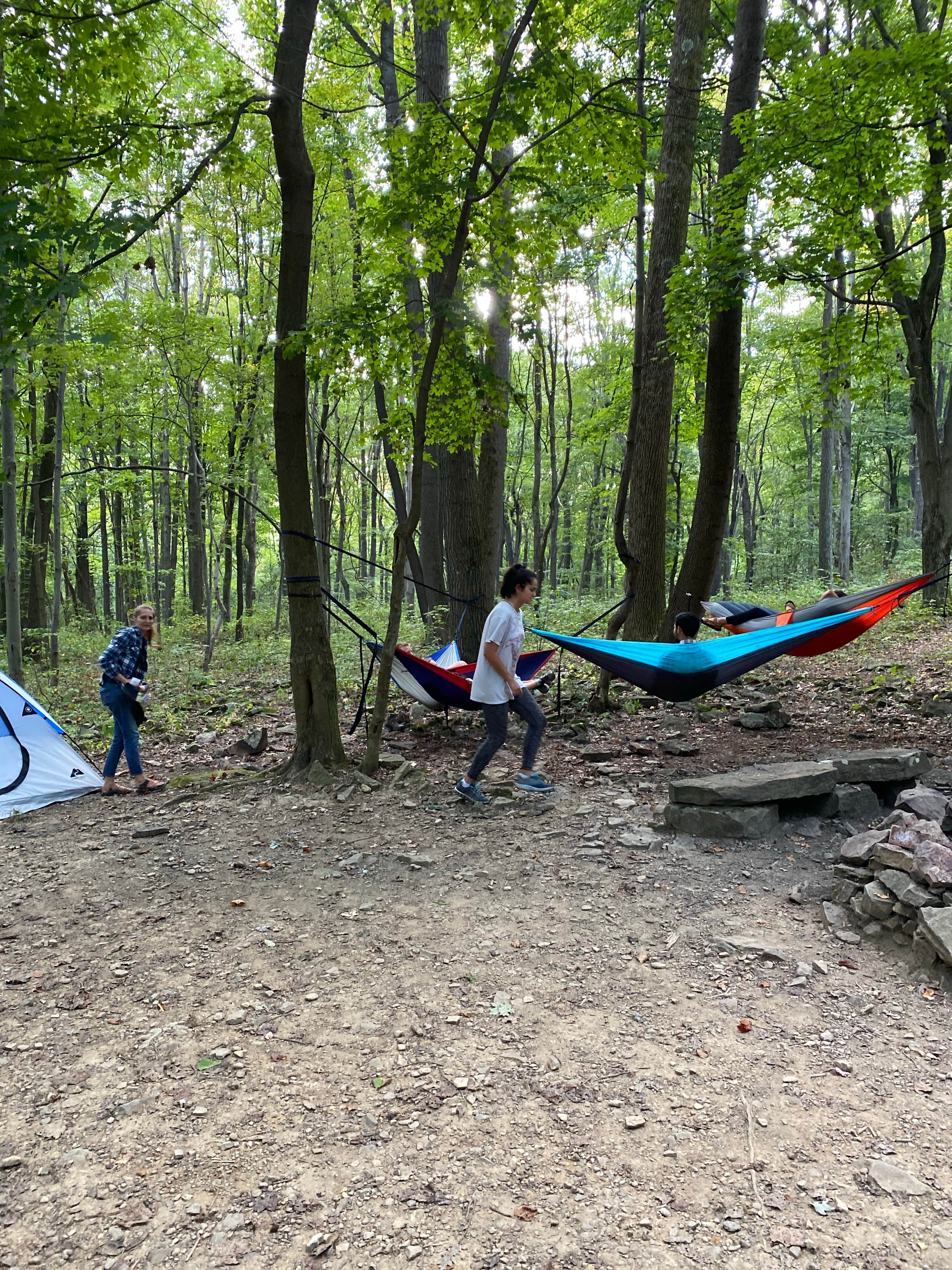 Camper submitted image from Scarlett Knob Campground - 4