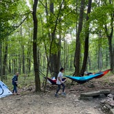 Review photo of Scarlett Knob Campground by John C., November 22, 2020