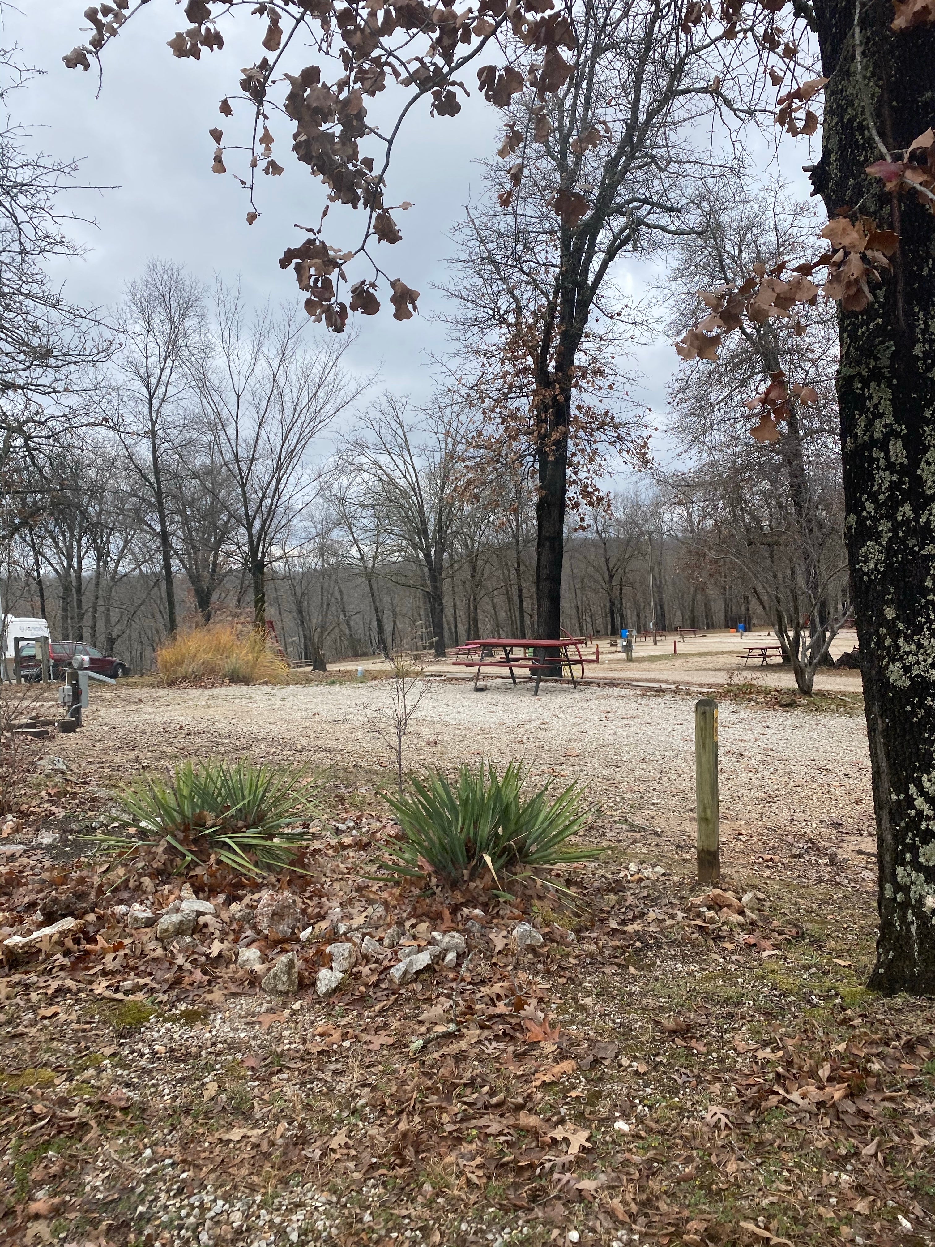 Camper submitted image from Linn Creek Koa - 5