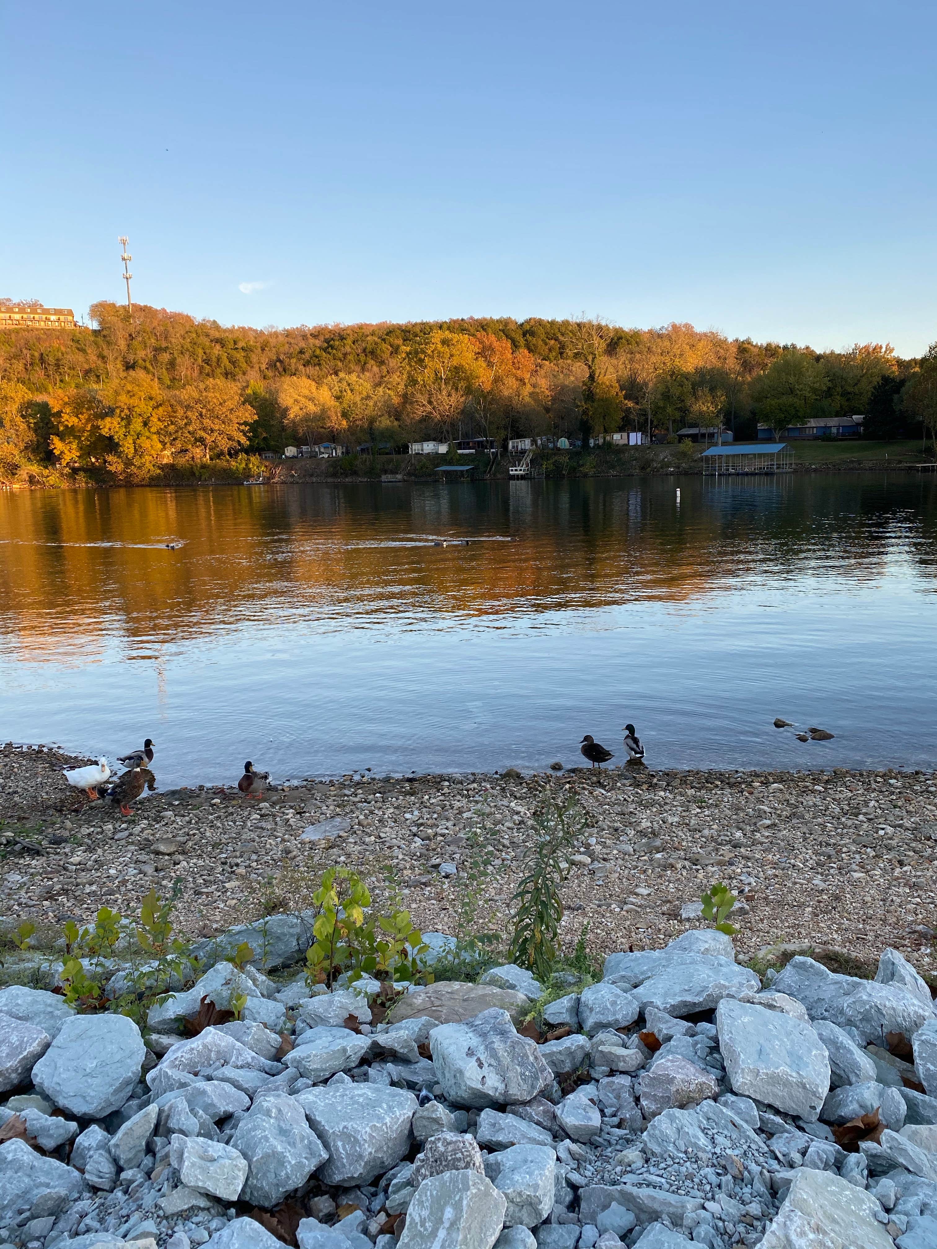 Camper-submitted photo at Branson Lakeside RV Park near Rockaway Beach, MO