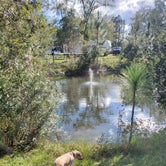 Review photo of Okefenokee Pastimes Cabins, RV Park & Campground by Danna D., November 22, 2020