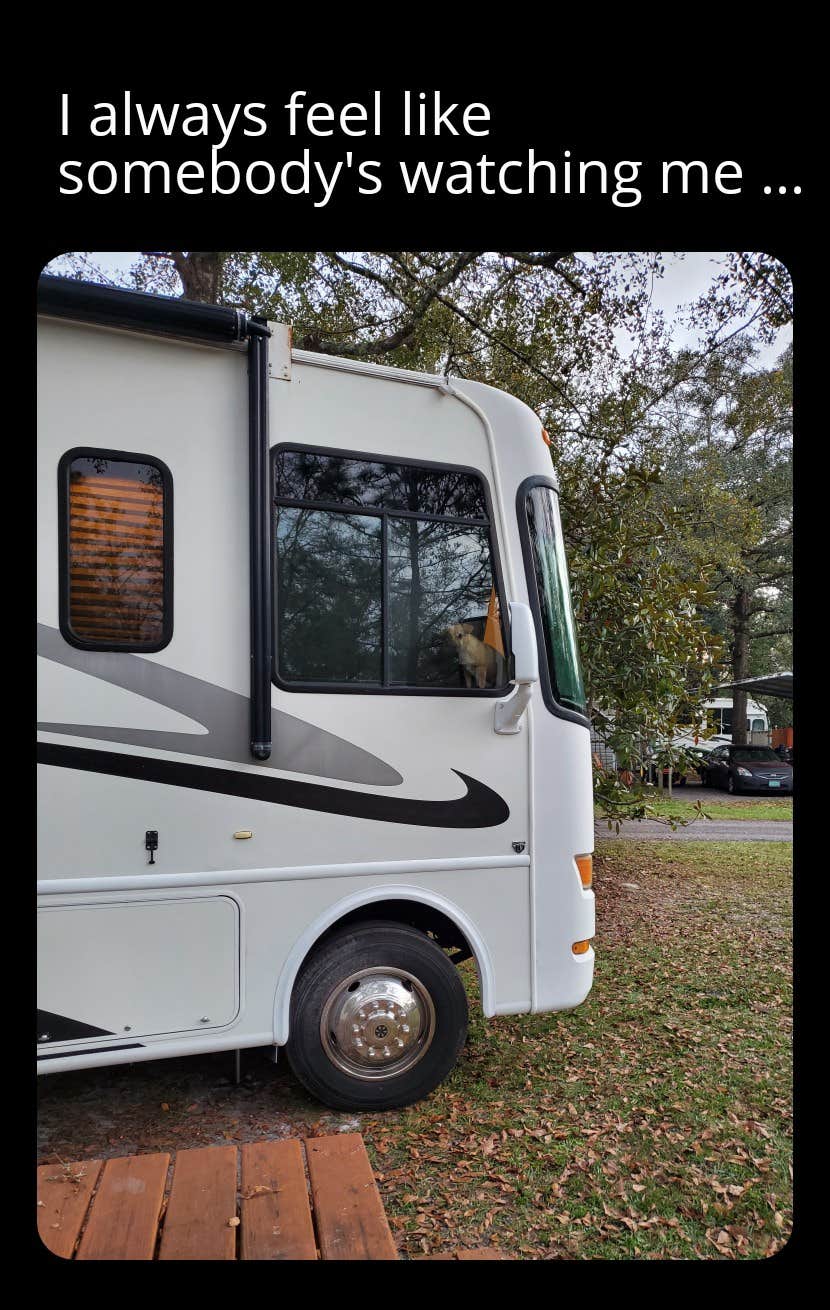 Danna D.'s photo of rv camping at Okefenokee Pastimes Cabins and Campground near Callahan, FL