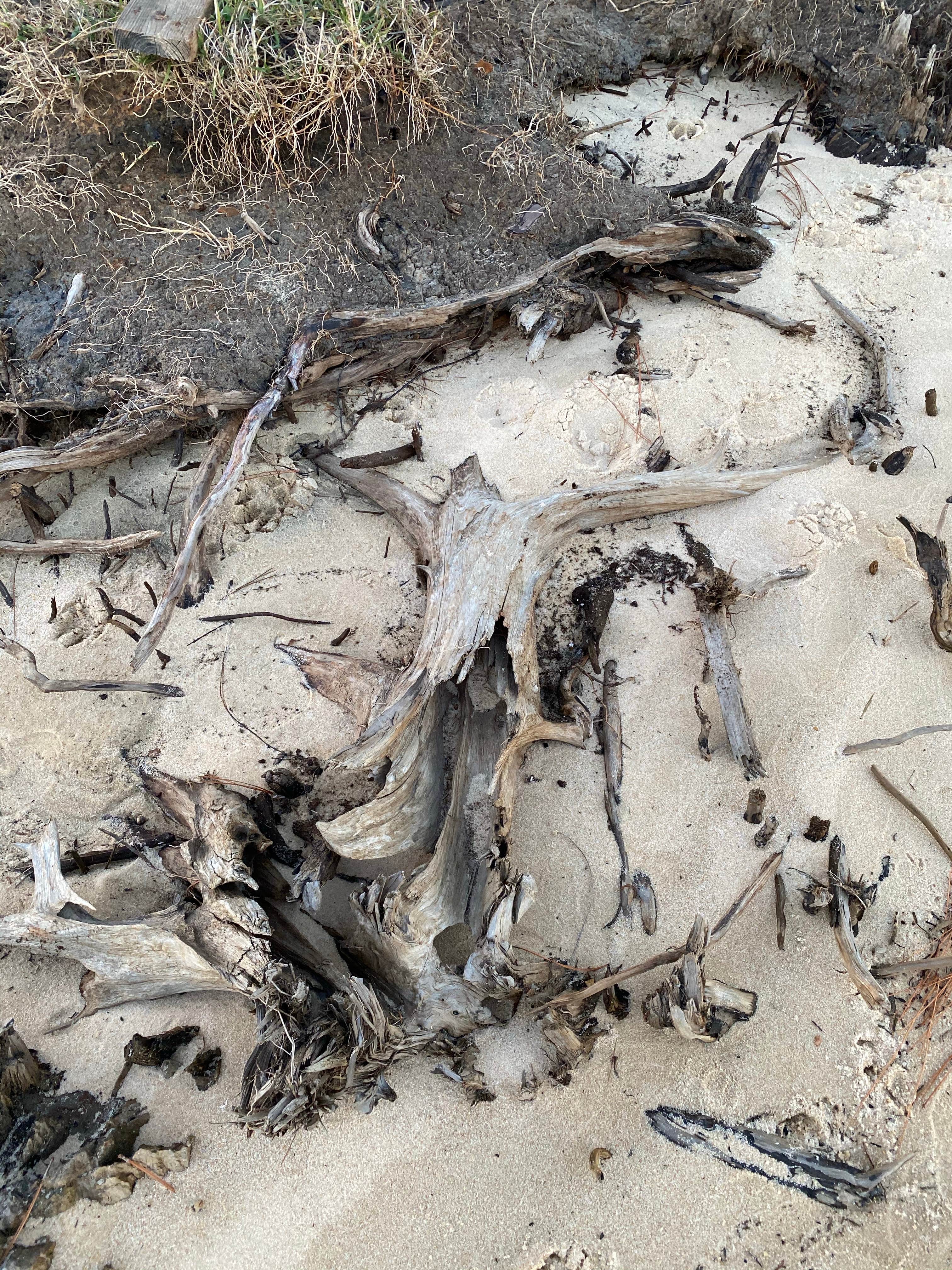 Camper-submitted photo at Gulf Shores-Pensacola West KOA near Robertsdale, AL